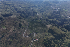 Akyazı’nın kırsalına giden yollar Büyükşehirle güzelleşti