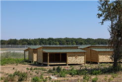 Yusuf Alemdar Türkiye’nin en modern hayvan doğal yaşam alanı için tarih verdi: Pati kafe, çocuk oyun alanları, hayvan kütüphanesine geri sayım…