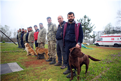 Büyükşehir öncü oldu: Canları kurtaracak köpekler en zor güne hazırlanıyor