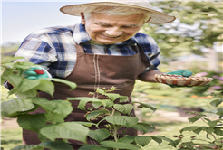 Toprağın derinlemesine analizi 15 dakika içinde çiftçiye ulaşacak