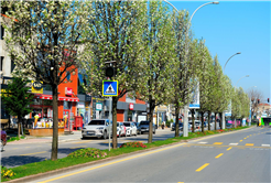 Sakarya’da baharın büyüleyici cümbüşü