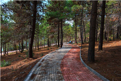 Şehirde bir ilk: Sakaryalılar baharı ‘Huzur Koridoru’nda koşarak karşılayacak