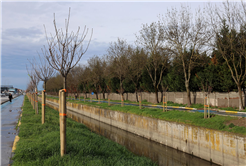 Büyükşehir’in ‘Yeşil Şehir’ vizyonu sahada: 3 ayda 2 bin 500 ağaç toprakla buluştu