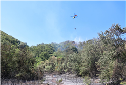 Kömürlük’teki orman yangını kontrol altında