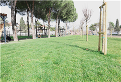 Büyükşehir’den Söğütlü’ye yeni yaşam alanı: Ritim Park gün sayıyor…