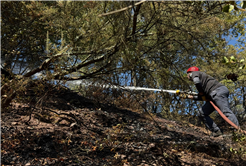 4 saatte 3 orman yangını kontrol altına alındı